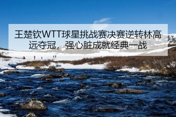 王楚钦WTT球星挑战赛决赛逆转林高远夺冠，强心脏成就经典一战