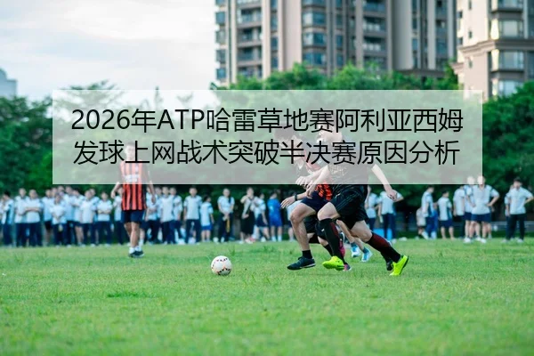 nian-ha-lei-cao-di-sai-a-li-ya-xi-mu-fa-qiu-shang-wang-zhan-shu-tu-po-ban-jue-sai-yuan-yin-fen-xi-3-793.jpg